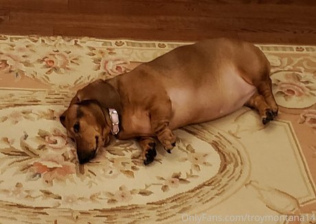 kitchen sex onlyfans naked photos