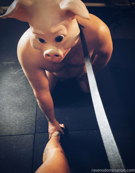 immistressraven star adult photos