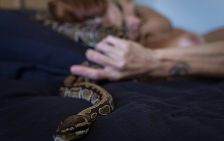 littleastronaut art star galleries