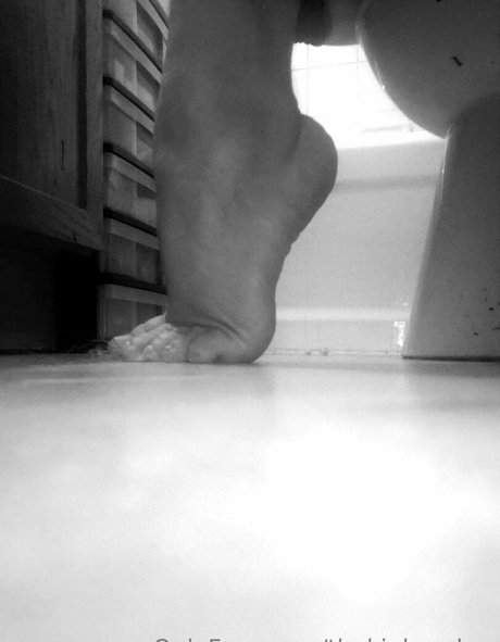 thekinkyzebra star beautiful gallery