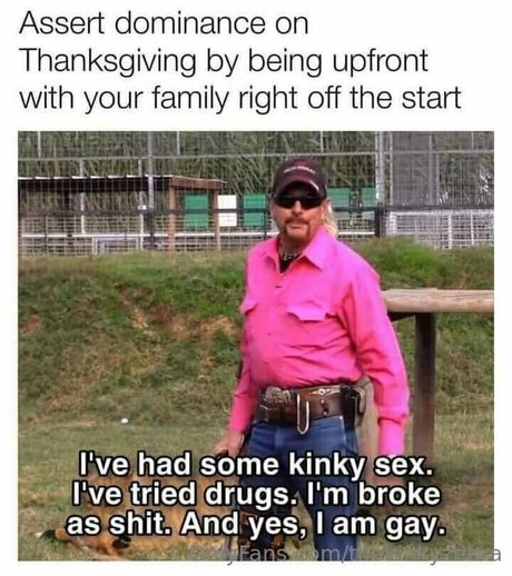 thekinkyzebra top pornstar photo