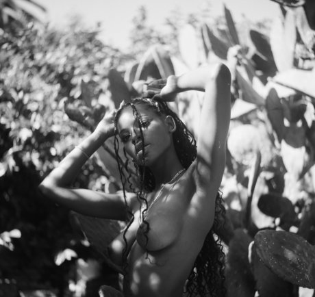 Luci Lane star top images