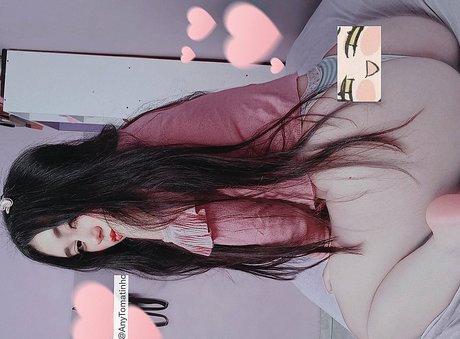 anyTomatinho model archive