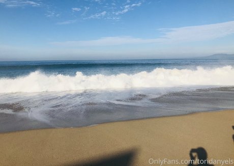 toridanyels star free gallery