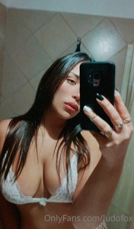 ludofox star top gallery