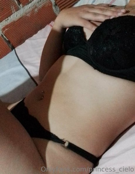 princess cielo nice star archive