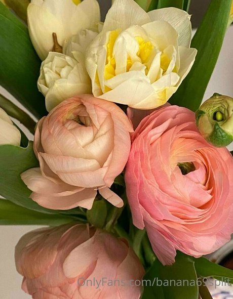 ginger midget onlyfans free naked pictures