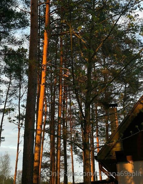 bbc facial onlyfans beautiful xxx photos