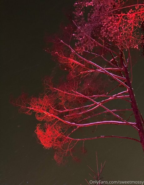 sweet pussy onlyfans perfect img