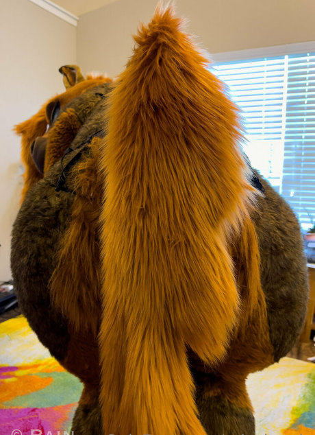 rain horsie nudes star archive