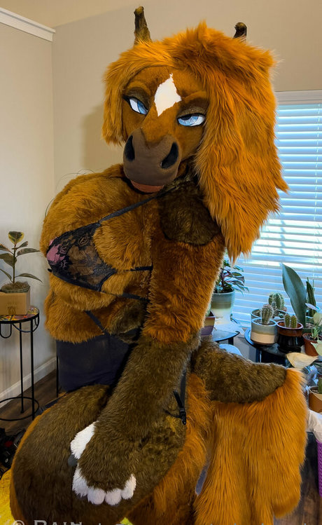 rain horsie model nudes photo