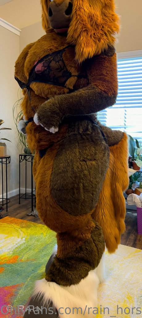 rain horsie perfect pornstar photo