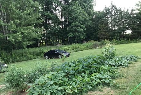 lovesamantha nice pornstar pic