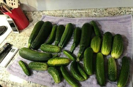 lovesamantha star exclusive pic