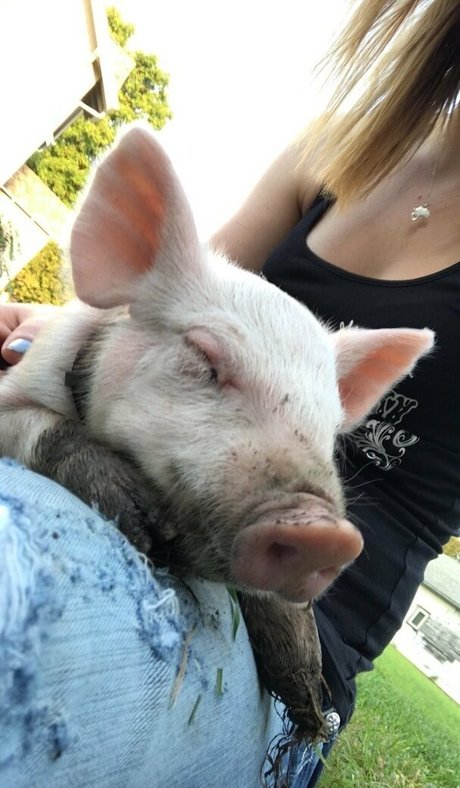 kitty free onlyfans sexy nude gallery