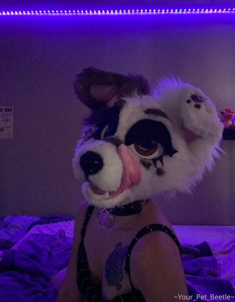 wedding onlyfans hot sex galleries