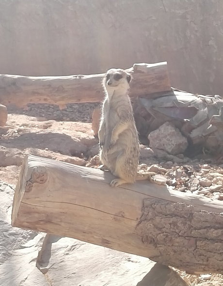 swinger milf onlyfans free sex pics