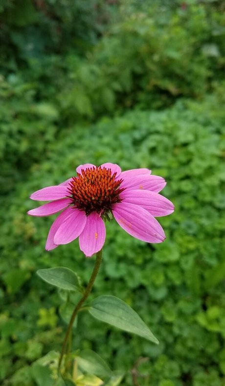 driftinggem adult model photos