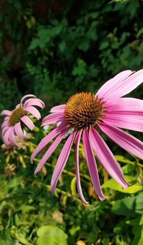 driftinggem star naked photo