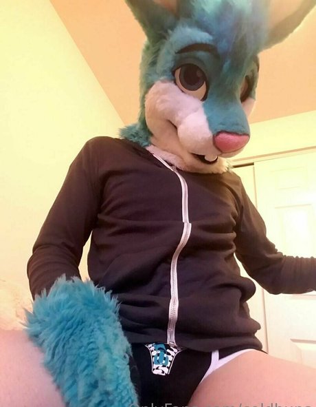 coldbuns free model archive