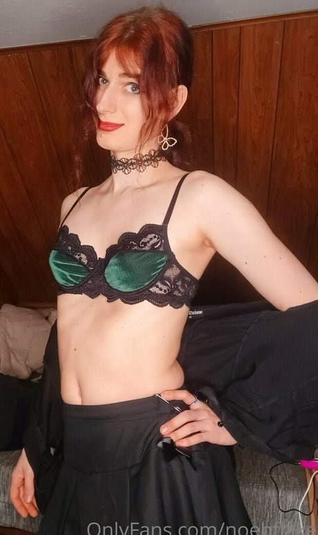 noehflake art star image