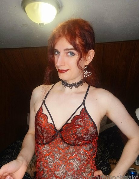 noehflake star high quality galleries