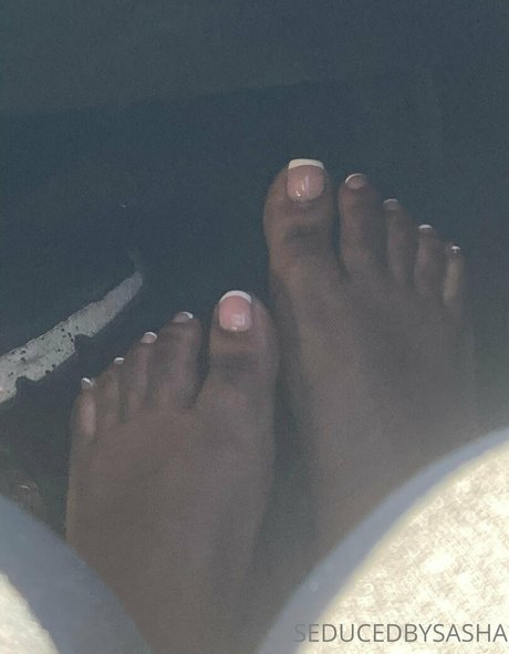 seducedbysasha beautiful pornstar archive