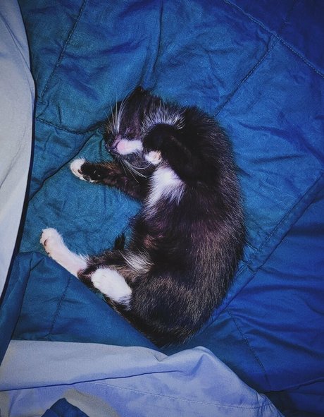 cosplay blowjob onlyfans erotic images