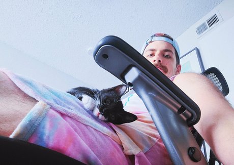 fosterkittendad beautiful model gallery