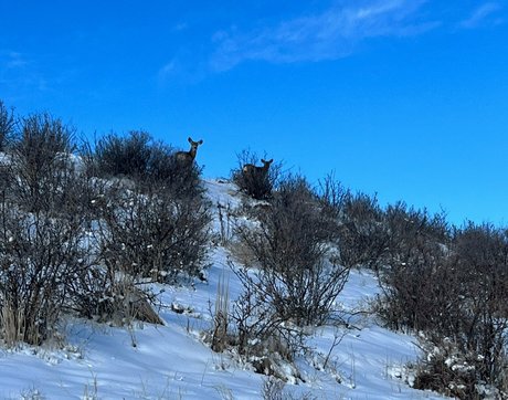 audreybelletv model hd pictures