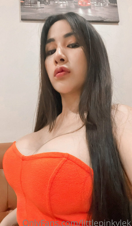 littlepinkylek pretty model picture