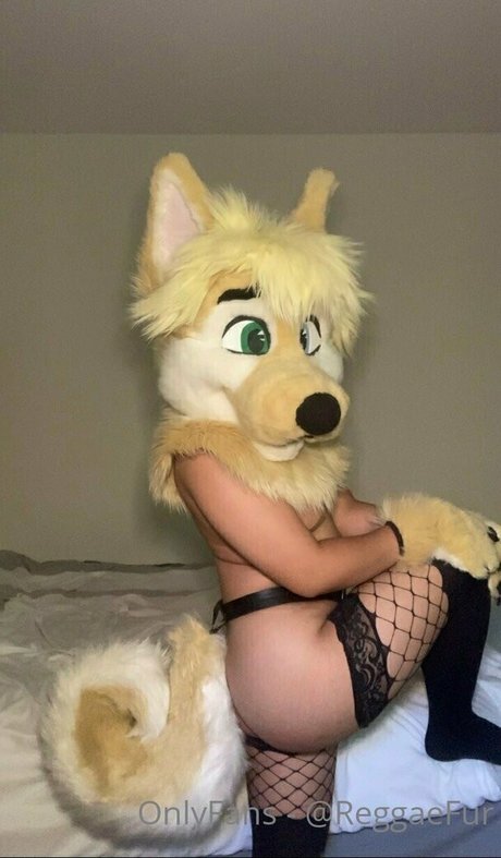 transfurries hd star photos