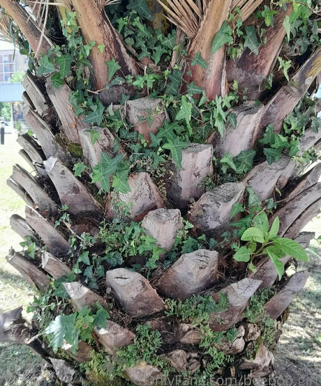 milf dp onlyfans xxx photo