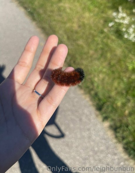 Leighbunbun nice actress photo