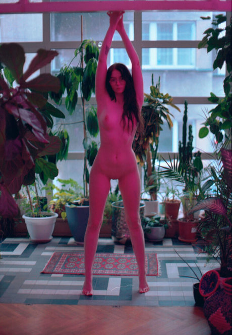 Angela Halee xxx star archive