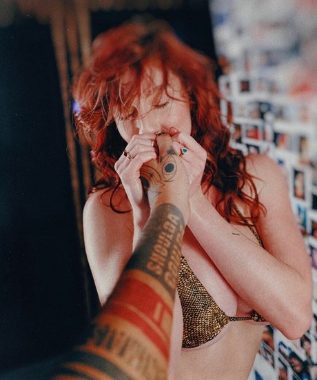 Ohrangutang high quality star pic