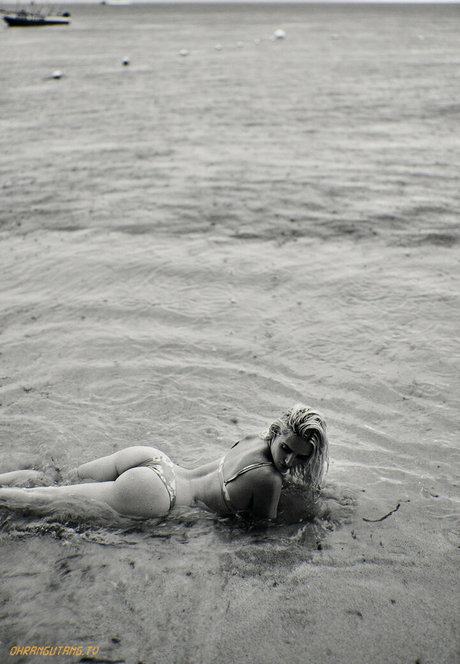 Ohrangutang pornographic star gallery