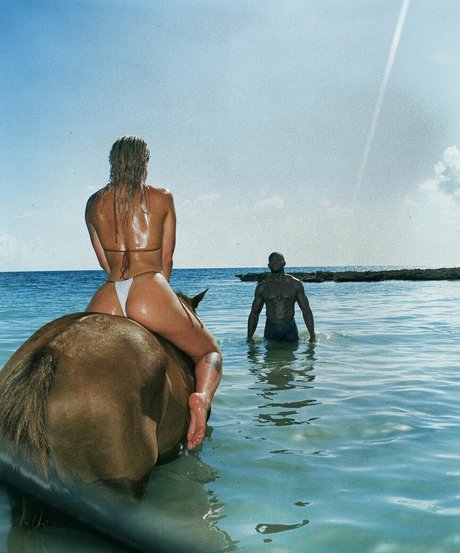 Ohrangutang star high quality galleries