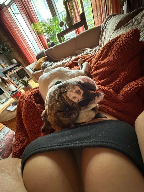 Amanda Michelle xxx star img