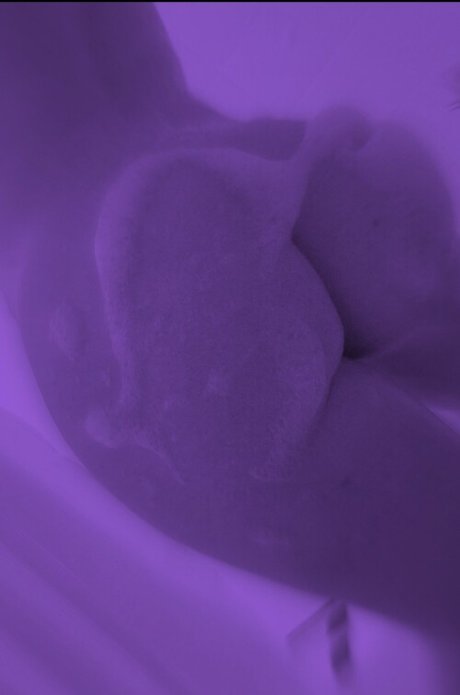 pornhub onlyfans pretty photos