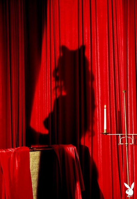 step brother onlyfans nice image