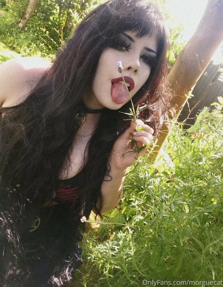 shaved onlyfans beautiful xxx image