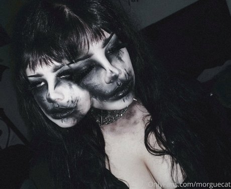 popular trans onlyfans best img