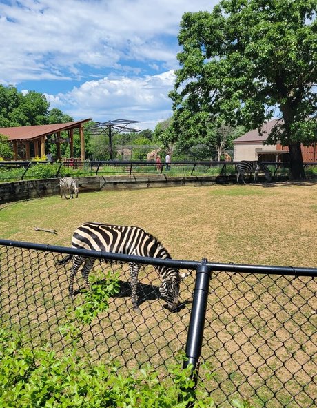 peachyqueen45 model adult pics