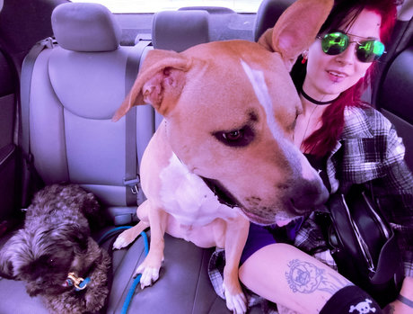 dariadoom pretty actress archive