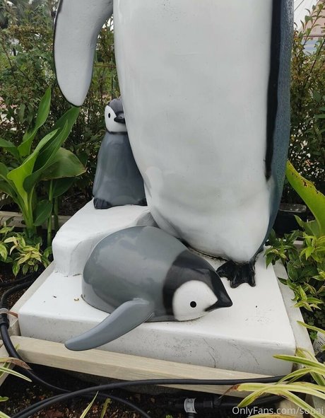 teen tits onlyfans top img