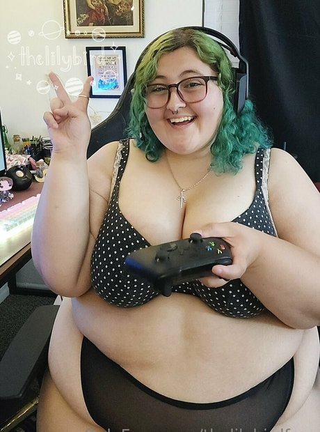 thelilybirdfree star high quality images