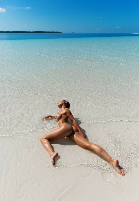 Justawildthing art star gallery