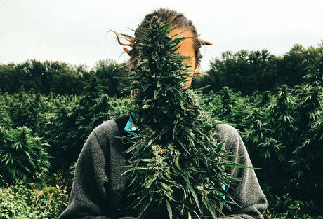 danceincannabis sex actress photos