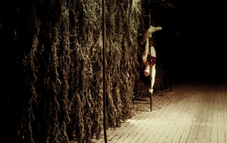 danceincannabis star nude photos